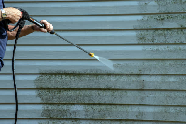 Best Dumpster Area Cleaning  in Shinnecock Hills, NY